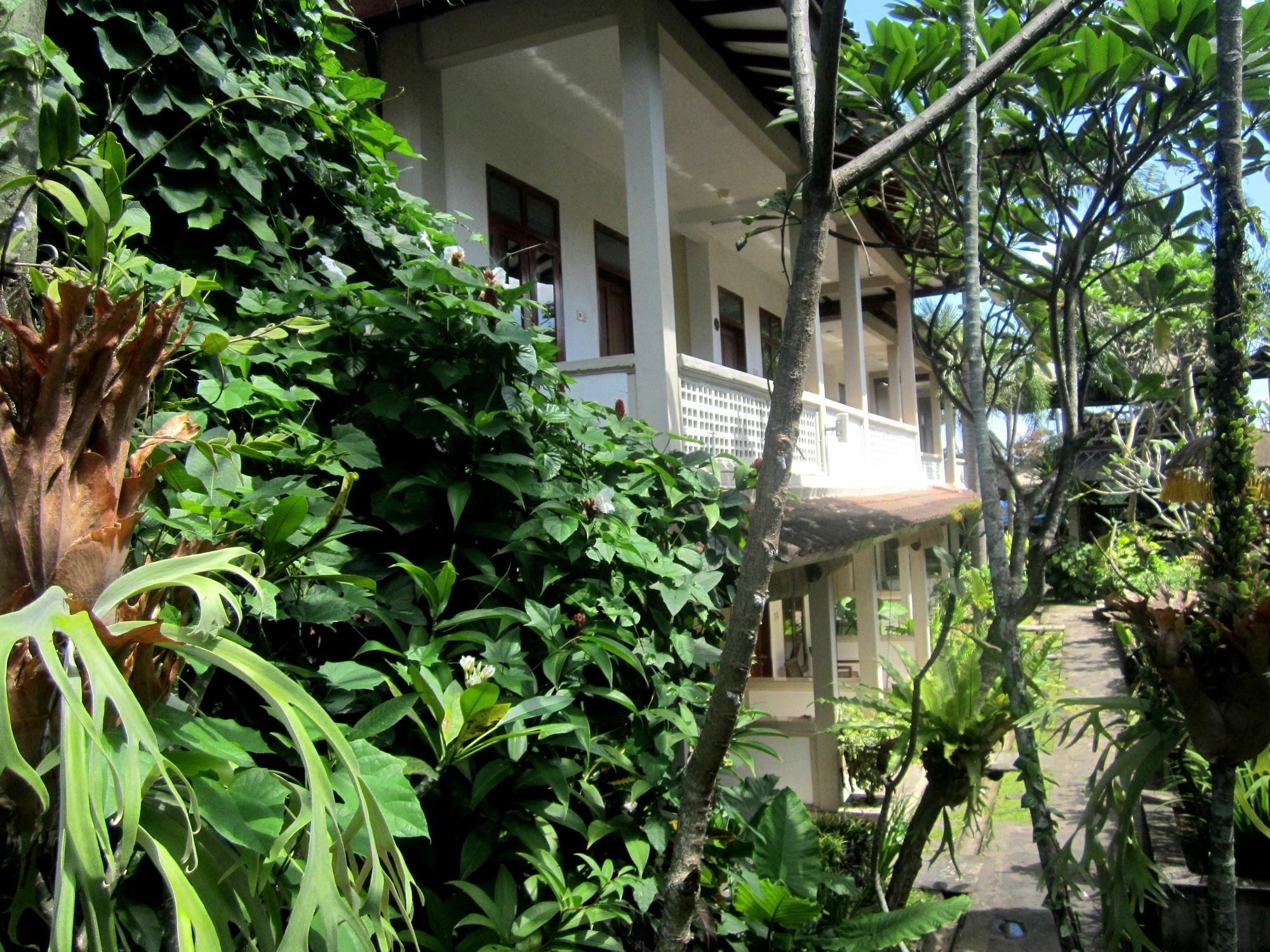 Casa Ganesha Hotel Ubud Luaran gambar
